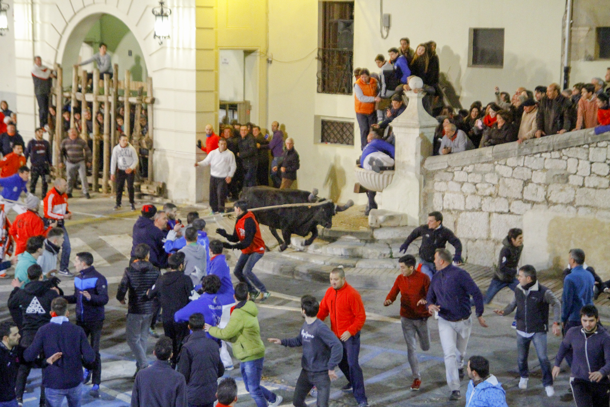 Foto d'un dels actes principals de La Puríssima