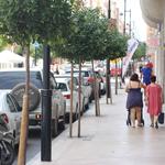 Quatre brots nous a Ontinyent, un d'ells de 12 persones