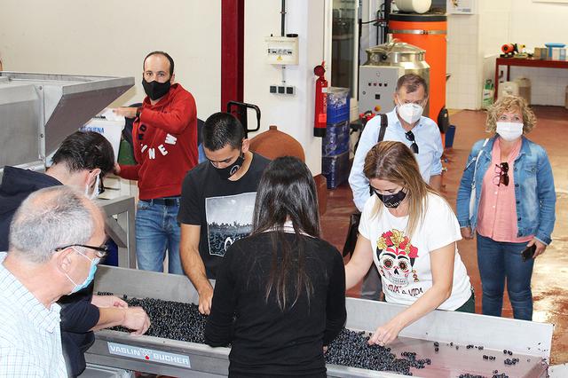 L'Escola de Viticultura de Requena augmenta un 15% el seu alumnat