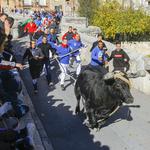 Ontinyent tindrà bou els dies 4 i 5 però sense embolà