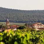 Fontanars dels Alforins acollirà el festival literari "Mi Pueblo Lee" 