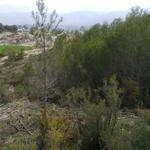 Ontinyent crearà un aparcament gratuït de 150 places en Ovidi Montllor