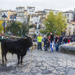 Bou i Corda, en desacuerdo con la modificación del recorrido del Bou de la Purísima 2021