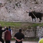Ontinyent viu el primer dia de "bou"