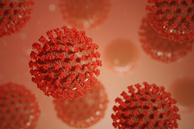 Sanidad registra 1.553 casos nuevos de coronavirus en la Comunitat Valenciana