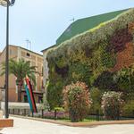 Ontinyent crea 39.000m de zones verdes en 5 anys