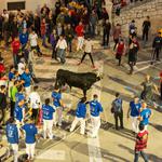 El Bou en Corda de Ontinyent, más cerca de poder volver a celebrarse