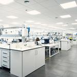 Grupo Ubesol va augmentar en 2020 un 3’5% la seua facturació fins els 247 milions de €