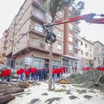 Agenda del 21 al 23 de enero