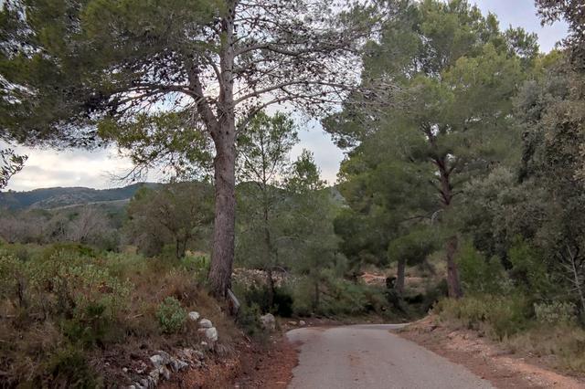 Aielo de Malferit presenta más de 500 alegaciones contra la macrocentral de Cairent