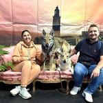 Bianca, el perro lobo checoslovaco ontinyentí, se proclama campeona de Gibraltar