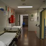 Farmàcia José Iborra lliura 1.000 euros a ANIMA