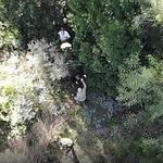 Rescaten a un home que havia caigut per un barranc a Ontinyent 