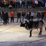 Dos trasllats a l'hospital en el segon dia de bou