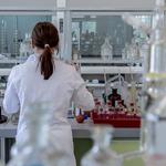 Ubesol promou la vocació científica en xiquetes amb el II Concurs 'Dones que van crear consciència'