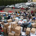 Ontinyent viurà el bou de les Penyes el 7 de maig  