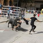 Ontinyent viu el "Bou de les penyes"