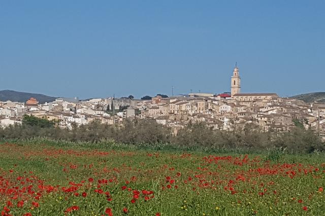 Abierto el plazo de participación en el concurso fotográfico de Bocairent
