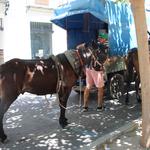 Ontinyent acull la XX Volta en Carro 