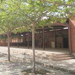 Se invertirá un millón de euros en una nueva cubierta para el CEIP La Solana