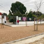 Ontinyent executa la I Fase del projecte Camins Escolars Segurs