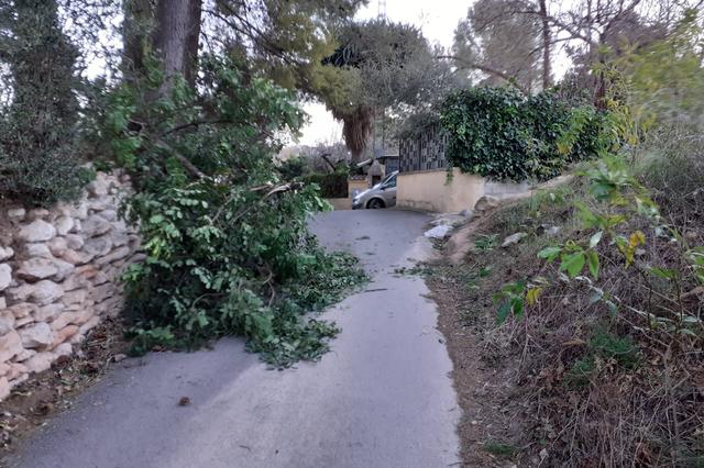 Ratxes de vent de fins 70 km/h derriben arbres i pals de llum a Ontinyent