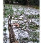 La nieva llega tímidamente a Bocairent