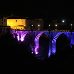 Ontinyent homenatja el dol perinatal amb flors i una il·luminació especial