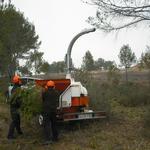 Ontinyent crearà 5 llocs de treball forestal amb una subvenció de 55.000€