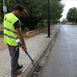 Ontinyent intensifica la lluita contra el mosquit tigre a causa de la seua proliferació per les altes temperatures