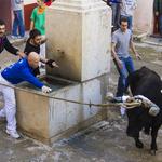El Bou seguirá sin subir a la Vila de Ontinyent