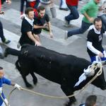 VOX demana la declaració d'interés turístic per al bou embolat d'Ontinyent