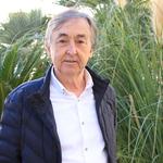 "Ontinyent i la Vall d'Albaida són una zona important de venda de cotxes"
