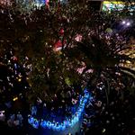 Ontinyent ha començat la campanya de Nadal amb l'encesa de l'arbre