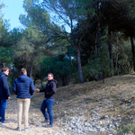 Encuentran una serpiente en plena vía pública en Ontinyent