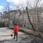 Ontinyent realiza tareas de prevención de incendios forestales
