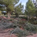 Ontinyent ejecuta trabajos para evitar incendios en Fuset