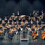 Ricardo Montés presenta el projecte cultural “Tebdemir, Dux i Rex”