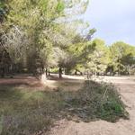 La realitat de les dones de l’Equador arriba a Ontinyent