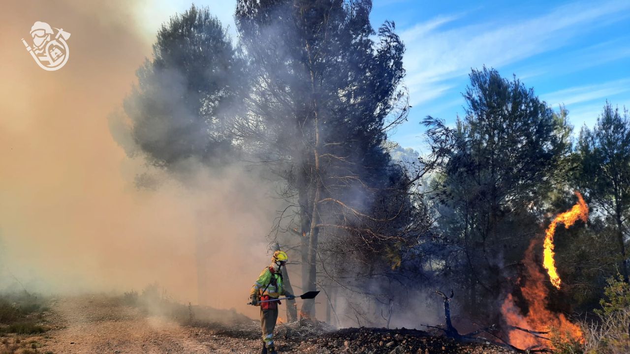 Foto: Servei Bombers Forestals GVA