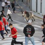 Ontinyent celebra el Bou de les Penyes