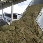Incauten 12.500 kilos de marihuana a Ontinyent