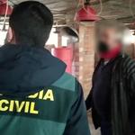 Roban cobre de 6 granjas avícolas de la Pinet