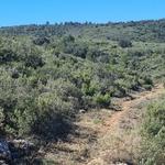 Ontinyent desbroza 22.000 metros lineales en la Senda dels Enginyers