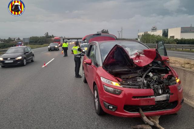 Ferits al xocar contra una cabra 