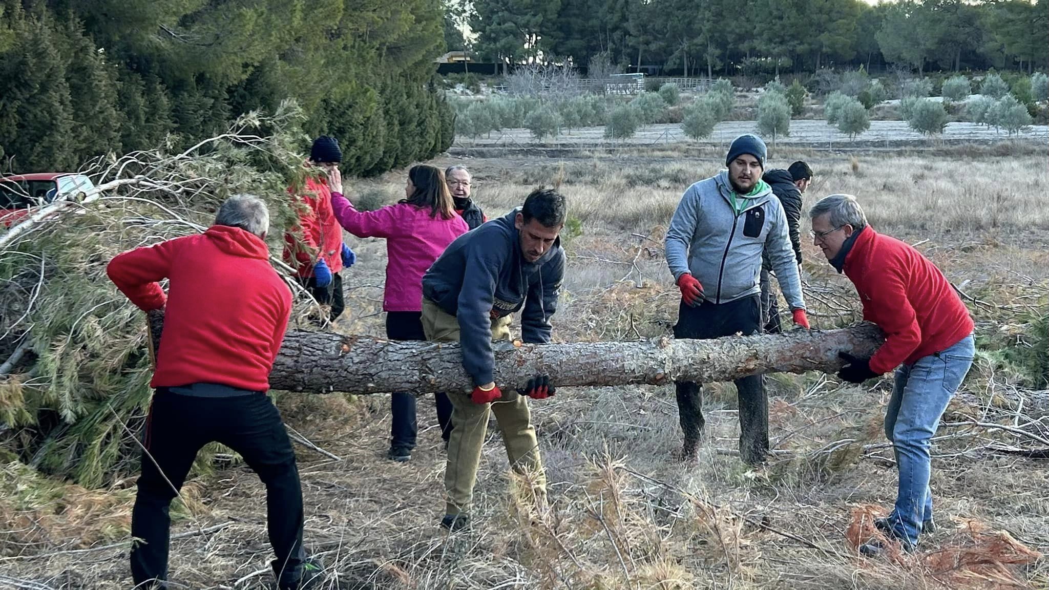 Recogida de leña, el pasado domingo