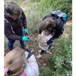 Detecten noves espècies a les caixes-niu d'Ontinyent