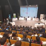 Cap on va l'ocupació en les comarques