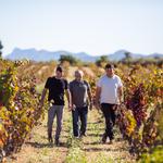Can Leandro, el celler ontinyentí que ha situat 7 vins entre els millors