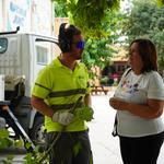 Ontinyent reposa 70 arbres de 20 espècies als diferents barris